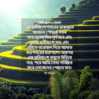 Picture 04 - যিহিষ্কেল 5:2 BENIRV - এর তৃতীয়াংশ - Bible Verse Picture