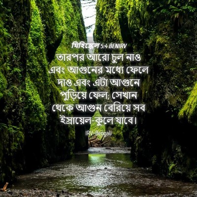 Picture 04 - যিহিষ্কেল 5:4 BENIRV - তারপর আরো চুল নাও - Bible Verse Picture