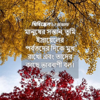 Picture 04 - যিহিষ্কেল 6:2 BENIRV - মানুষের সন্তান, - Bible Verse Picture