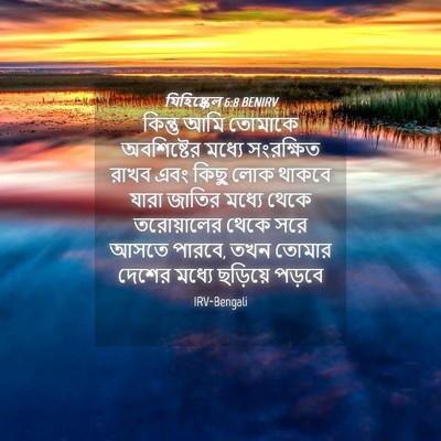 Picture 04 - যিহিষ্কেল 6:8 BENIRV - কিন্তু আমি তোমাকে - Bible Verse Picture
