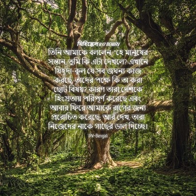 Picture 04 - যিহিষ্কেল 8:17 BENIRV - তিনি আমাকে বললেন, - Bible Verse Picture