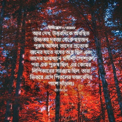 Picture 04 - যিহিষ্কেল 9:2 BENIRV - আর দেখ, উত্তরদিকে - Bible Verse Picture
