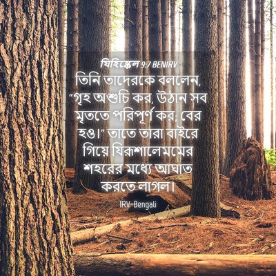 Picture 04 - যিহিষ্কেল 9:7 BENIRV - তিনি তাদেরকে - Bible Verse Picture