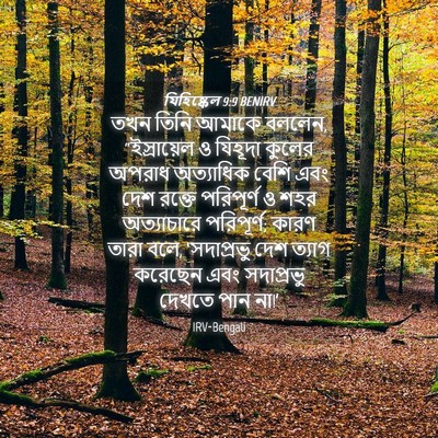Picture 04 - যিহিষ্কেল 9:9 BENIRV - তখন তিনি আমাকে - Bible Verse Picture