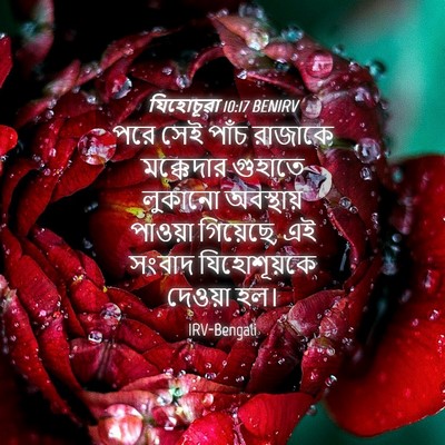 Picture 04 - যিহোচূৱা 10:17 BENIRV - পরে সেই পাঁচ - Bible Verse Picture