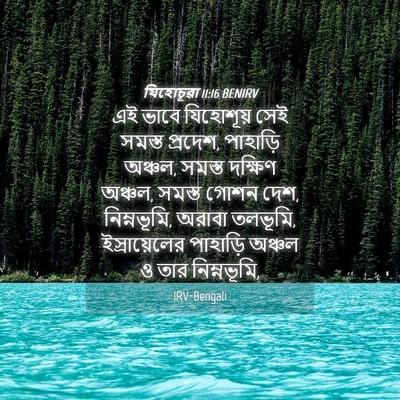 Picture 04 - যিহোচূৱা 11:16 BENIRV - এই ভাবে যিহোশূয় - Bible Verse Picture