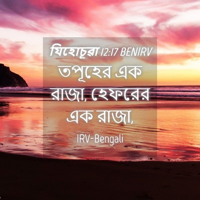 Picture 04 - যিহোচূৱা 12:17 BENIRV - তপূহের এক রাজা, - Bible Verse Picture