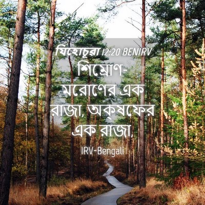 Picture 04 - যিহোচূৱা 12:20 BENIRV - শিম্রোণ-মরোণের এক - Bible Verse Picture