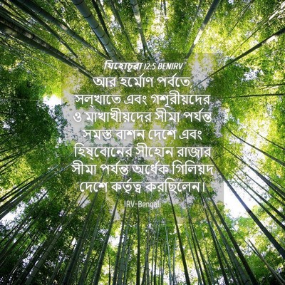 Picture 04 - যিহোচূৱা 12:5 BENIRV - আর হর্মোণ পর্বতে, - Bible Verse Picture