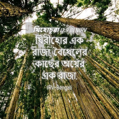Picture 04 - যিহোচূৱা 12:9 BENIRV - যিরীহোর এক রাজা, - Bible Verse Picture