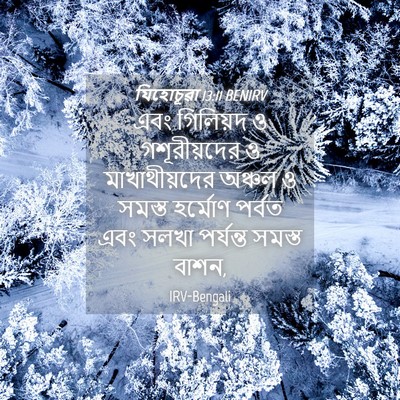 Picture 04 - যিহোচূৱা 13:11 BENIRV - এবং গিলিয়দ ও - Bible Verse Picture