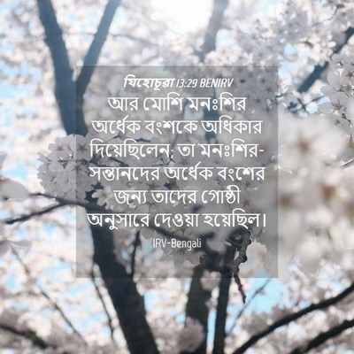 Picture 04 - যিহোচূৱা 13:29 BENIRV - আর মোশি মনঃশির - Bible Verse Picture