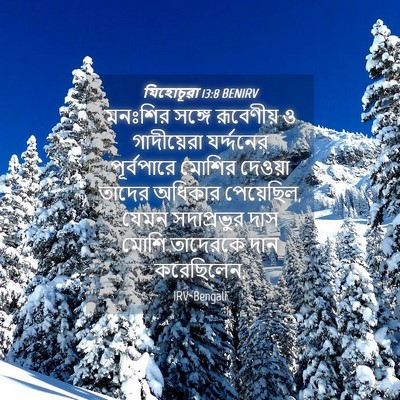 Picture 04 - যিহোচূৱা 13:8 BENIRV - মনঃশির সঙ্গে - Bible Verse Picture