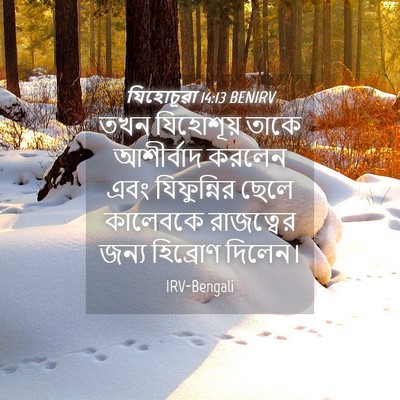 Picture 04 - যিহোচূৱা 14:13 BENIRV - তখন যিহোশূয় তাকে - Bible Verse Picture