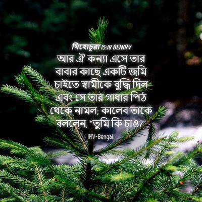 Picture 04 - যিহোচূৱা 15:18 BENIRV - আর ঐ কন্যা এসে তার - Bible Verse Picture