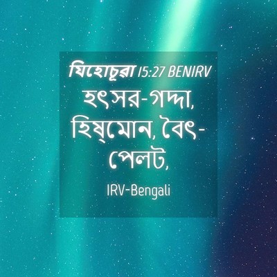 Picture 04 - যিহোচূৱা 15:27 BENIRV - হৎসর-গদ্দা, - Bible Verse Picture