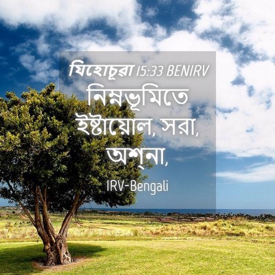 Picture 04 - যিহোচূৱা 15:33 BENIRV - নিম্নভূমিতে - Bible Verse Picture