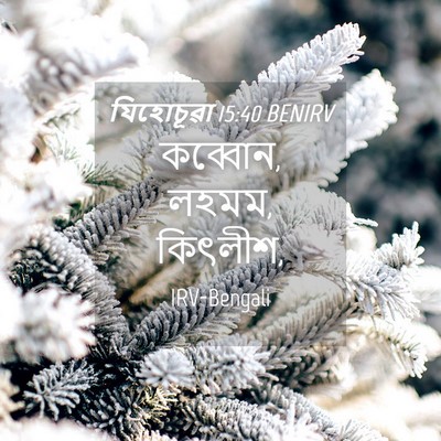 Picture 04 - যিহোচূৱা 15:40 BENIRV - কব্বোন, লহমম, - Bible Verse Picture
