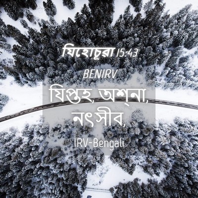 Picture 04 - যিহোচূৱা 15:43 BENIRV - যিপ্তহ, অশ্‌না, - Bible Verse Picture