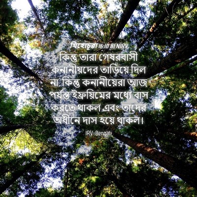 Picture 04 - যিহোচূৱা 16:10 BENIRV - কিন্তু তারা - Bible Verse Picture
