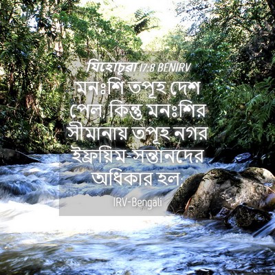 Picture 04 - যিহোচূৱা 17:8 BENIRV - মনঃশি তপূহ দেশ পেল, - Bible Verse Picture