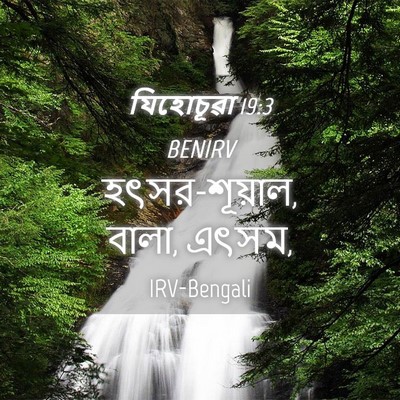 Picture 04 - যিহোচূৱা 19:3 BENIRV - হৎসর-শূয়াল, বালা, - Bible Verse Picture