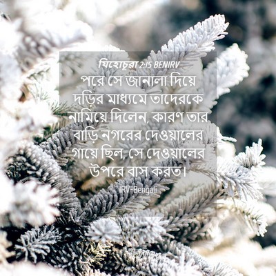 Picture 04 - যিহোচূৱা 2:15 BENIRV - পরে সে জানালা - Bible Verse Picture