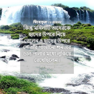 Picture 04 - যিহোচূৱা 2:6 BENIRV - কিন্তু মহিলাটি - Bible Verse Picture