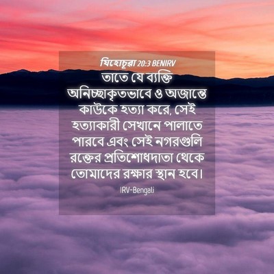 Picture 04 - যিহোচূৱা 20:3 BENIRV - তাতে যে ব্যক্তি - Bible Verse Picture