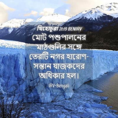 Picture 04 - যিহোচূৱা 21:19 BENIRV - মোট পশুপালনের - Bible Verse Picture