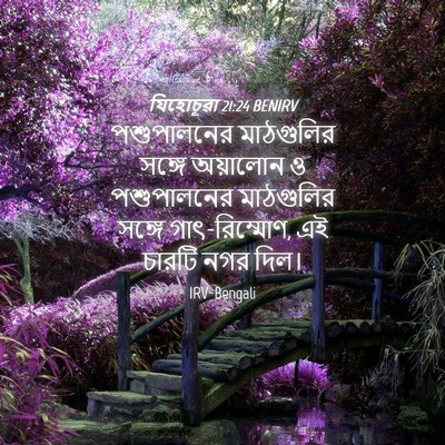 Picture 04 - যিহোচূৱা 21:24 BENIRV - পশুপালনের - Bible Verse Picture