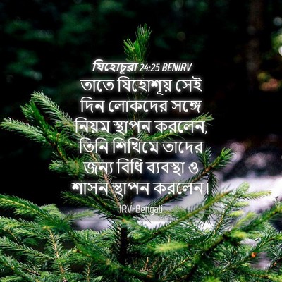 Picture 04 - যিহোচূৱা 24:25 BENIRV - তাতে যিহোশূয় সেই - Bible Verse Picture