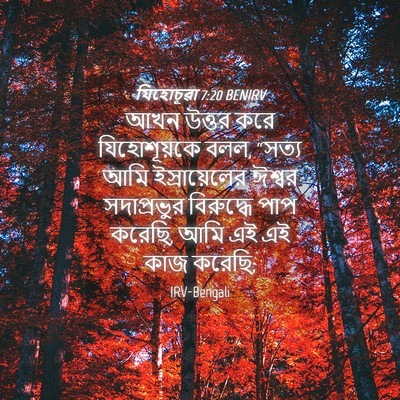 Picture 04 - যিহোচূৱা 7:20 BENIRV - আখন উত্তর করে - Bible Verse Picture