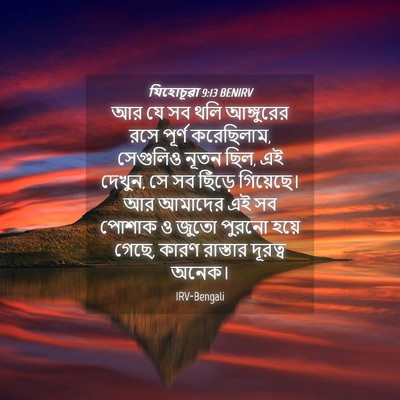 Picture 04 - যিহোচূৱা 9:13 BENIRV - আর যে সব থলি - Bible Verse Picture