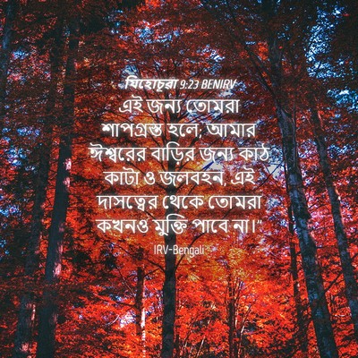 Picture 04 - যিহোচূৱা 9:23 BENIRV - এই জন্য তোমরা - Bible Verse Picture