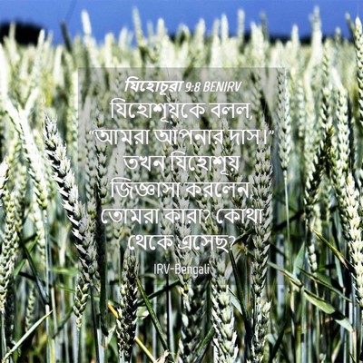 Picture 04 - যিহোচূৱা 9:8 BENIRV - যিহোশূয়কে বলল, - Bible Verse Picture
