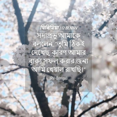 Picture 04 - যিৰিমিয়া 1:12 BENIRV - সদাপ্রভু আমাকে - Bible Verse Picture