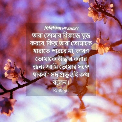 Picture 04 - যিৰিমিয়া 1:19 BENIRV - তারা তোমার - Bible Verse Picture