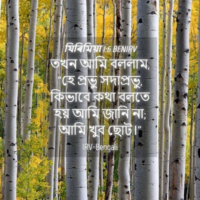 Picture 04 - যিৰিমিয়া 1:6 BENIRV - তখন আমি বললাম, “হে - Bible Verse Picture