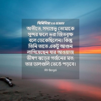 Picture 04 - যিৰিমিয়া 11:16 BENIRV - অতীতে, সদাপ্রভু - Bible Verse Picture