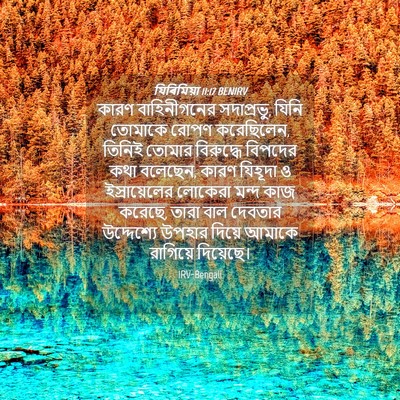 Picture 04 - যিৰিমিয়া 11:17 BENIRV - কারণ বাহিনীগনের - Bible Verse Picture
