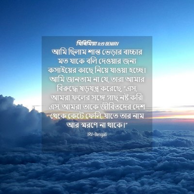 Picture 04 - যিৰিমিয়া 11:19 BENIRV - আমি ছিলাম শান্ত - Bible Verse Picture