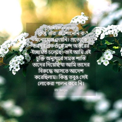 Picture 04 - যিৰিমিয়া 11:8 BENIRV - কিন্তু তারা তা - Bible Verse Picture