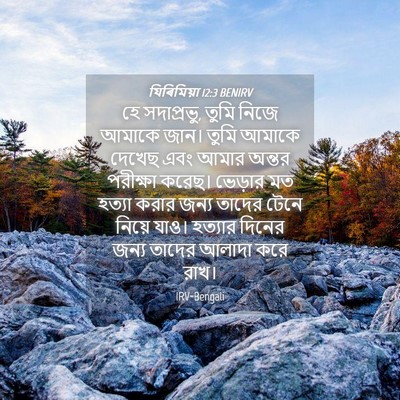 Picture 04 - যিৰিমিয়া 12:3 BENIRV - হে সদাপ্রভু, তুমি - Bible Verse Picture