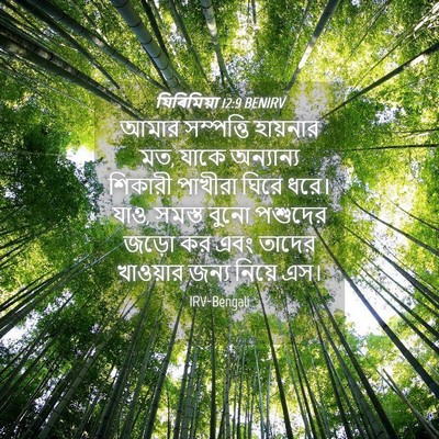 Picture 04 - যিৰিমিয়া 12:9 BENIRV - আমার সম্পত্তি - Bible Verse Picture