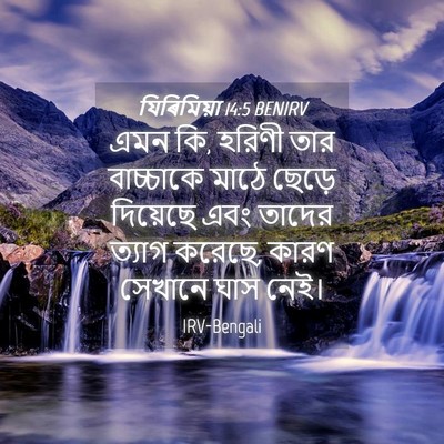 Picture 04 - যিৰিমিয়া 14:5 BENIRV - এমন কি, হরিণী তার - Bible Verse Picture