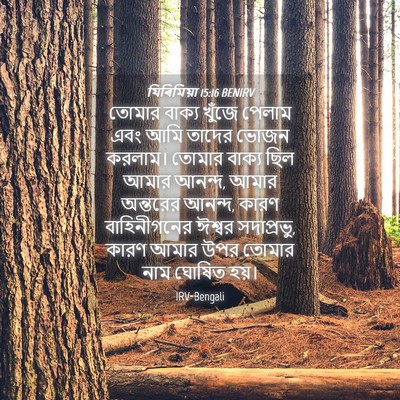Picture 04 - যিৰিমিয়া 15:16 BENIRV - তোমার বাক্য খুঁজে - Bible Verse Picture