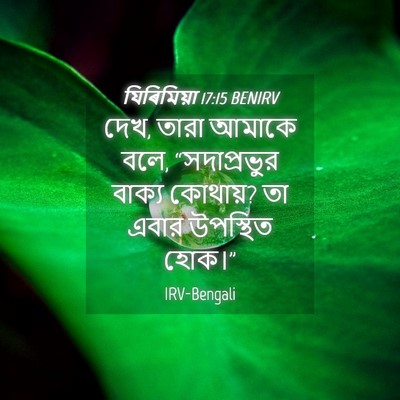 Picture 04 - যিৰিমিয়া 17:15 BENIRV - দেখ, তারা আমাকে - Bible Verse Picture
