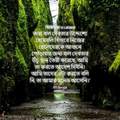 Picture 04 - যিৰিমিয়া 19:5 BENIRV - তারা বাল দেবতার - Bible Verse Picture