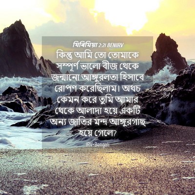 Picture 04 - যিৰিমিয়া 2:21 BENIRV - কিন্তু আমি তো - Bible Verse Picture